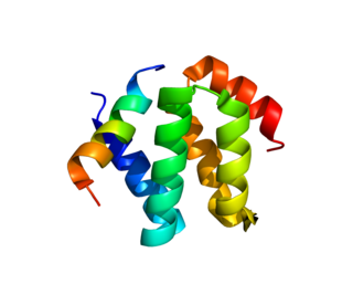 <span class="mw-page-title-main">CDH23</span>