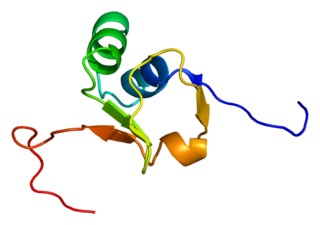 <span class="mw-page-title-main">IMP3</span> Protein-coding gene in the species Homo sapiens