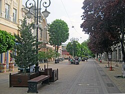 Pushkina Street (Simferopol)