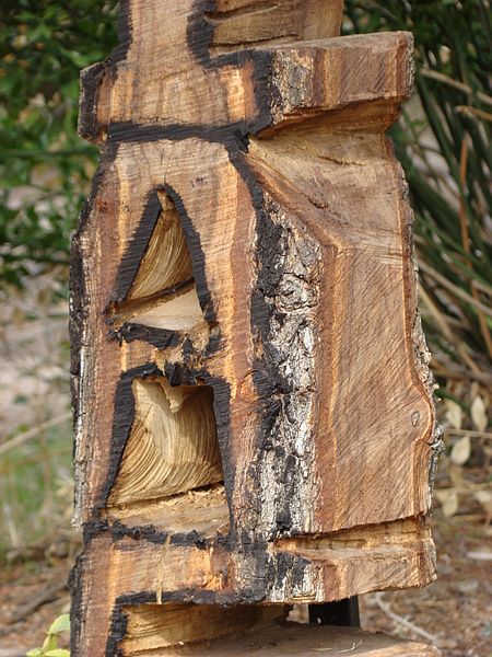 File:QTA- Letrero tallado en tronco, actual. (23222677084).jpg