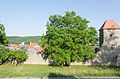 Stadtmauer bei Obergasse 7