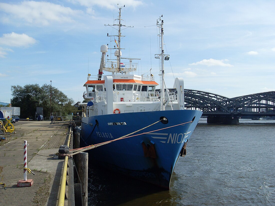 Koninklijk Nederlands Instituut voor Onderzoek der Zee