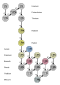 Chaîne de l'uranium 238