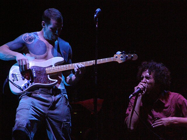 Rage Against the Machine performing in 2007