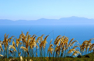 Foveaux Strait strait