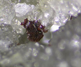 Rappoldit ist ein sehr selten vorkommendes Mineral aus der Mineralklasse der „Phosphate, Arsenate und Vanadate“. Er kristallisiert im triklinem Kristallsystem mit der chemischen Zusammensetzung Pb(Co,Ni)2(AsO4)2·2H2O und ist damit chemisch gesehen ein wasserhaltiges Blei-Cobalt-Nickel-Arsenat.