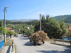 Razhdavitsa Village.jpg