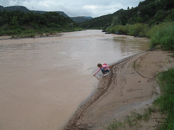 The Rio Grande at the end of the Blue Dot Trail, looking south