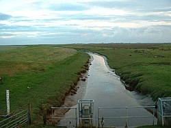 Riječni koker - geograph.org.uk - 87282.jpg