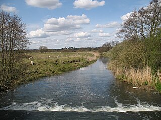 <span class="mw-page-title-main">River Lark</span> River in Suffolk and Cambridgeshire, England