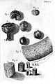 Robert Hooke, Micrographia; hair Wellcome L0002255.jpg