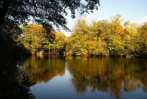 L'estany del Rodenbek