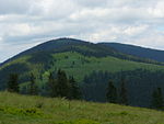 Żywiec Beskids