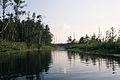 English: Rospuda river between lakes: Sumowo and Okragle, near Kotowina village Polski: Rospuda pomiędzy jeziorami: Sumowo i Okrągłe, koło wsi Kotowina