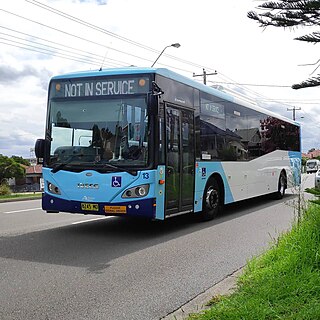 <span class="mw-page-title-main">Rover Coaches</span> Australian bus company