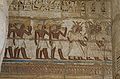 Procession of Officials from Medinet Habu of Ramesses III, pharaoh of the Twentieth Dynasty of Egypt