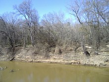 Vista de la orilla de un río bordeado por árboles sin follaje.