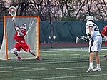 Thumbnail for Goaltender (field lacrosse)