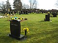 Миниатюра для Файл:Sandbach Cemetery, Don't Panic - geograph.org.uk - 5327542.jpg