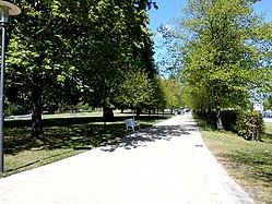 L'allée du Schlossgarten en 2015