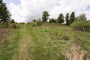 Remains of the Schwalenburg: View from the north of the inner wall