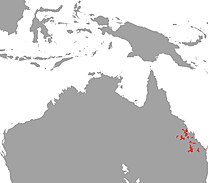 Scleropages leichardti Map.jpg