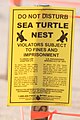 Sea turtle legal notice