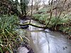 Seabrook Stream