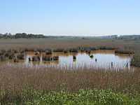 Seaford Wetlands