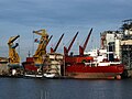 Sealady at Port of Amsterdam.