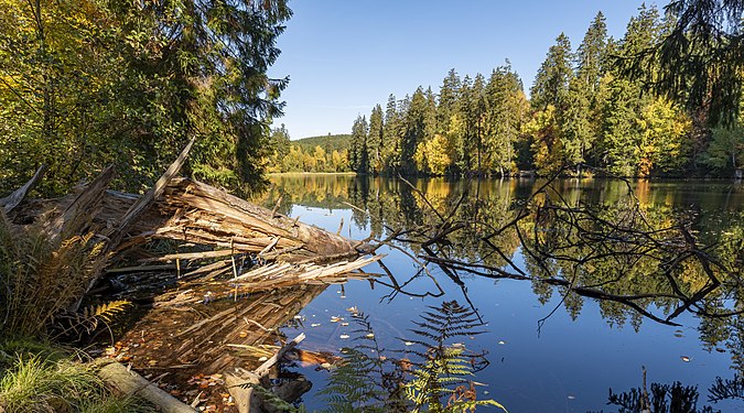 Silberteich in Nationalpark Harz. Photograph: HarzerJunge