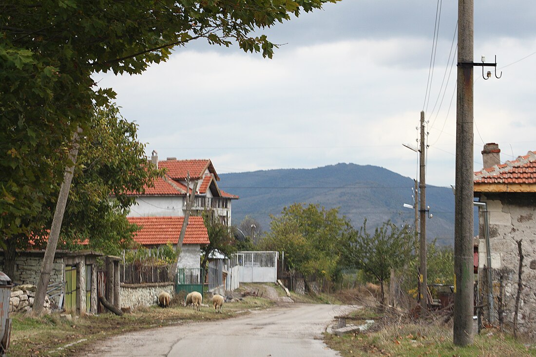 Силен (село в Болгарии)