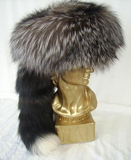 Tập_tin:Silver_fox_trapper_fur_cap,_2011.jpg