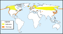 Distribución del zampullín cuellirrojo