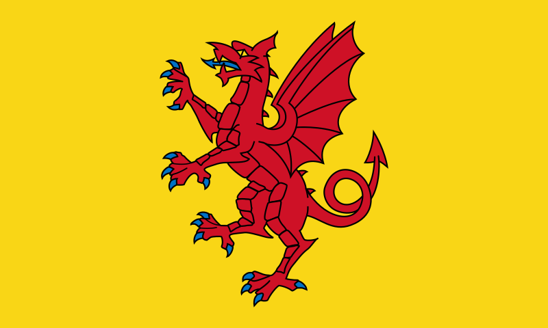 red and yellow flag with dragon