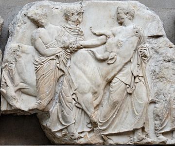 Génisse menée au sacrifice, frise des Panathénées. British Museum.