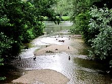 Mündung der Steinach in den Neckar