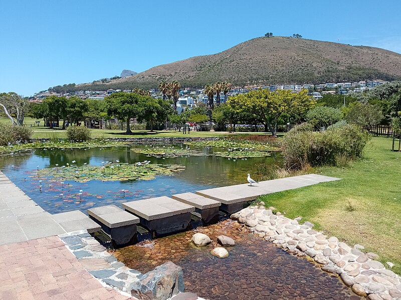 File:Stepping stone bridge in Green Point Park.jpg