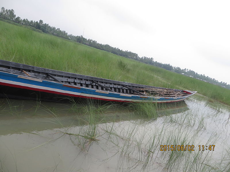 File:Still boat in Chars of Jamuna river at Bogra 04.jpg