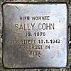 Stumbling Stone Althoffstrasse 4 (Stegl) Sally Cohn.jpg