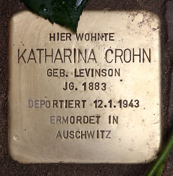 File:Stolperstein Sybelstr 41 (Charl) Katharina Crohn.jpg