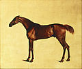 George Stubbs: Pangloss