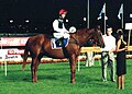Super impose at the night of champions in 2005.jpg
