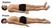 Exercises performed in a supine position. A) The patient lies supine in