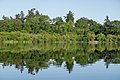 * Nomination Swan Lake Christmas Hill Nature Sanctuary, Saanich, British Columbia, CanadaI --Podzemnik 01:00, 13 June 2018 (UTC) * Promotion  Support Great nature, very good quality. -- Johann Jaritz 02:04, 13 June 2018 (UTC)