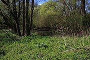 Naturschutzgebiet und Naturdenkmal "Tümpel an der Fliede