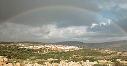 Tal Menashe Rainbow.jpg