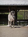 Tierpark Ludwigshafen-Rheingönnheim