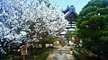 Tenryu-ji Temple, Arashiyama, Δυτικό Κιότο, Ιαπωνία