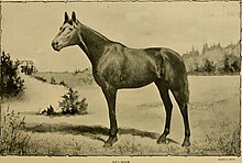 The American turf- an historical account of racing in the United States - with biographical sketches of turf celebrities. 1898 (1898) (18135951356).jpg